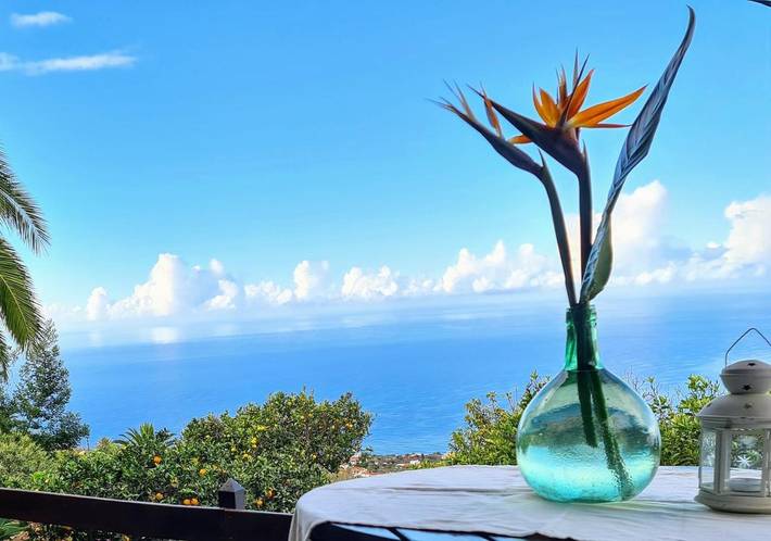 Casa rural para 2 personas, con vistas y jardín en La Palma - 4