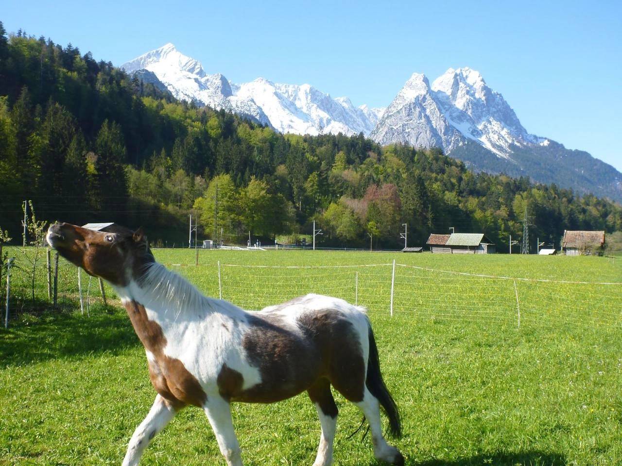 Budget Triple Room in Garmisch-Partenkirchen, Bayerische Alpen