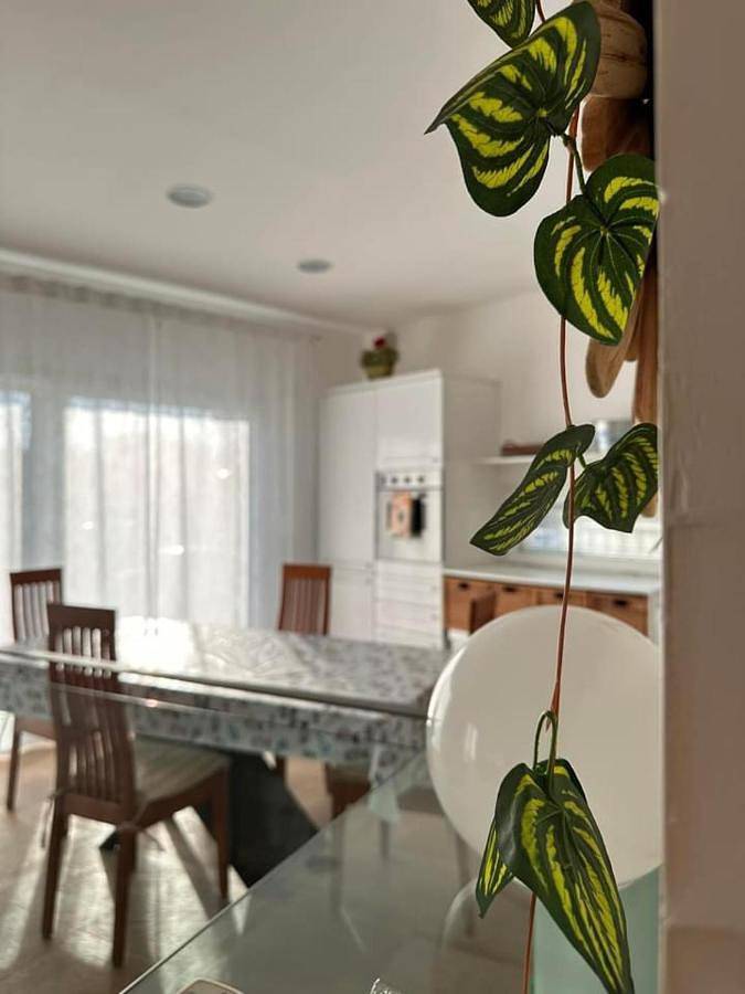 Appartamento vacanze per 6 persone, con terrazza a Riccione