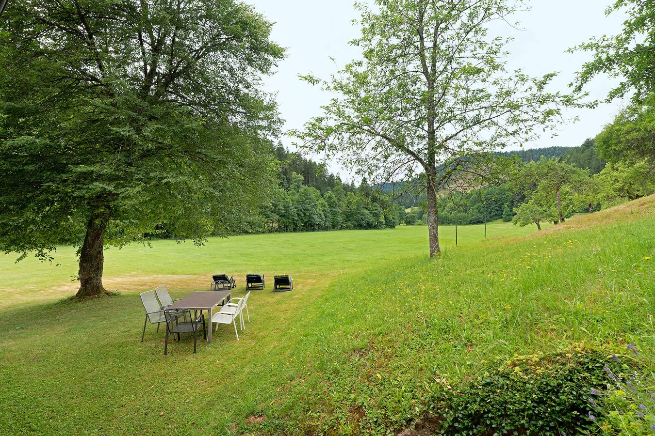 Entire apartment, Apartment 'Untermetzgers' with Mountain View, Private Terrace and Wi-Fi in Alpirsbach, Kinzig Valley