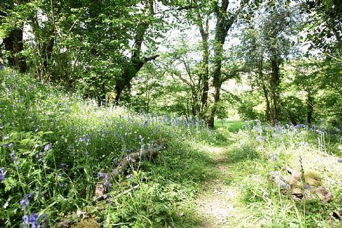 The Dairy in Mells, Somerset