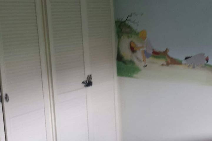 Ferienhaus für 4 Personen, mit Garten in Middelburg - 4