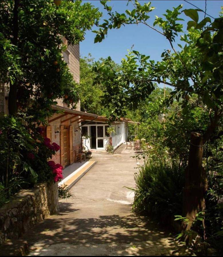 B&b L' Arancio in fiore in Sant'Agnello, Napoli e dintorni
