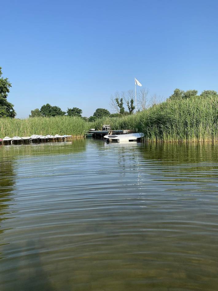 Ferienwohnung für 2 Personen, mit Balkon und Seeblick, mit Haustier in Mecklenburgische Seenplatte - 2
