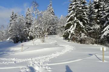 Gîte pour 6 personnes, avec terrasse à Longchaumois