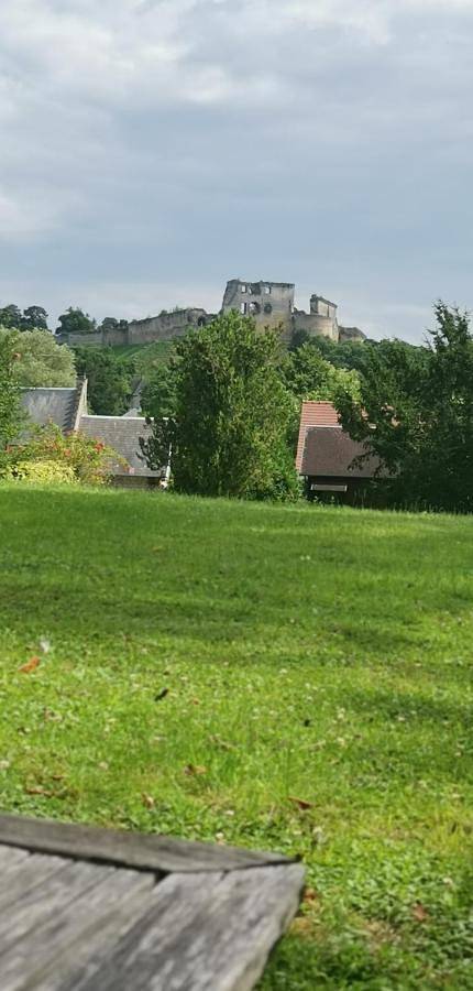 Location de vacances pour 6 personnes, avec terrasse ainsi que vue et jardin, animaux acceptés à Coucy-le-Château-Auffrique - 2