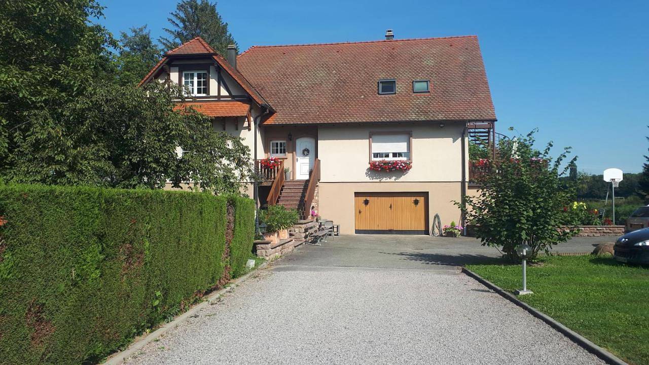 Appartement entier, Gite "Le Platane" 45 m2 - climatisé in Monswiller, Région de Saverne