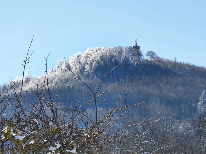 Ferienhaus für 6 Personen, mit Garten in Blankenburg - 2