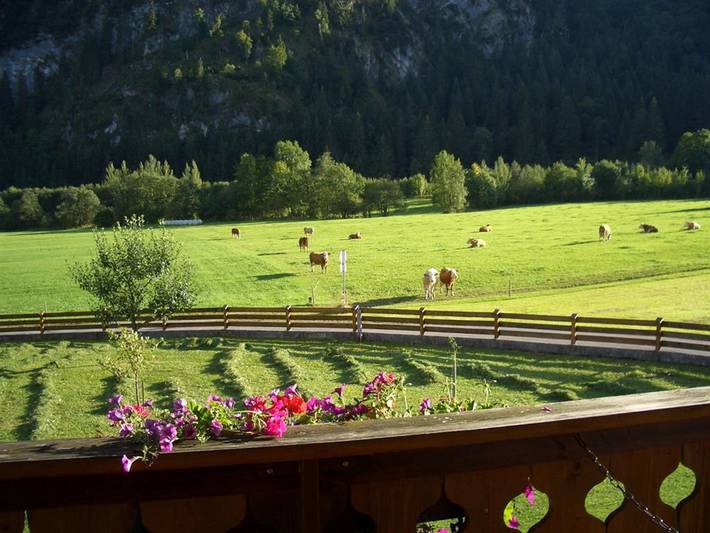 Ferienwohnung für 2 Personen, mit Balkon in den Ammergauer Alpen - 4