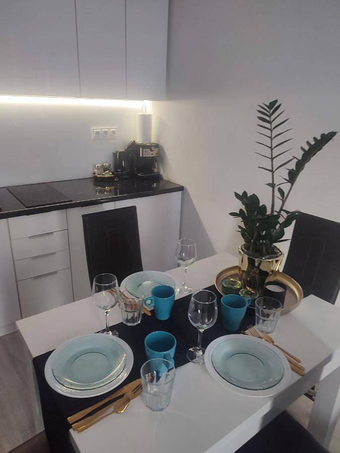 Apartament wakacyjny dla 4 osób w Konin