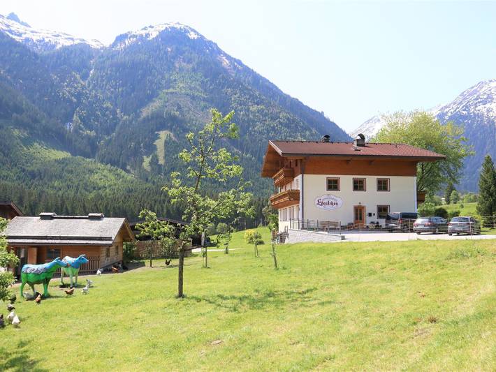 Ferienwohnung für 4 Personen, mit Balkon in Krimml - 4