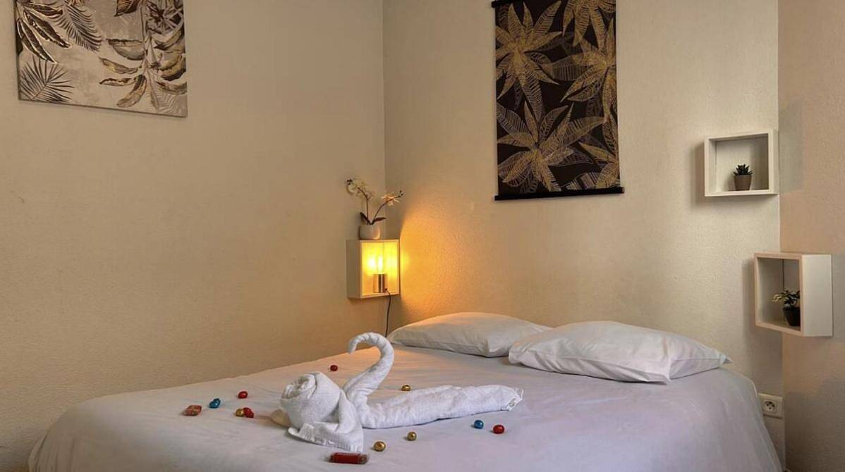 Appartement entier, One-Bedroom Apartment in Mâcon, Région de Mâcon