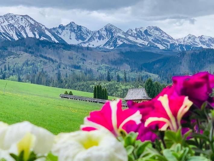 Apartament wakacyjny dla 4 osób, z taras i basen oraz widok i basen dla dzieci, zwierzęta dozwolone w Małe Ciche