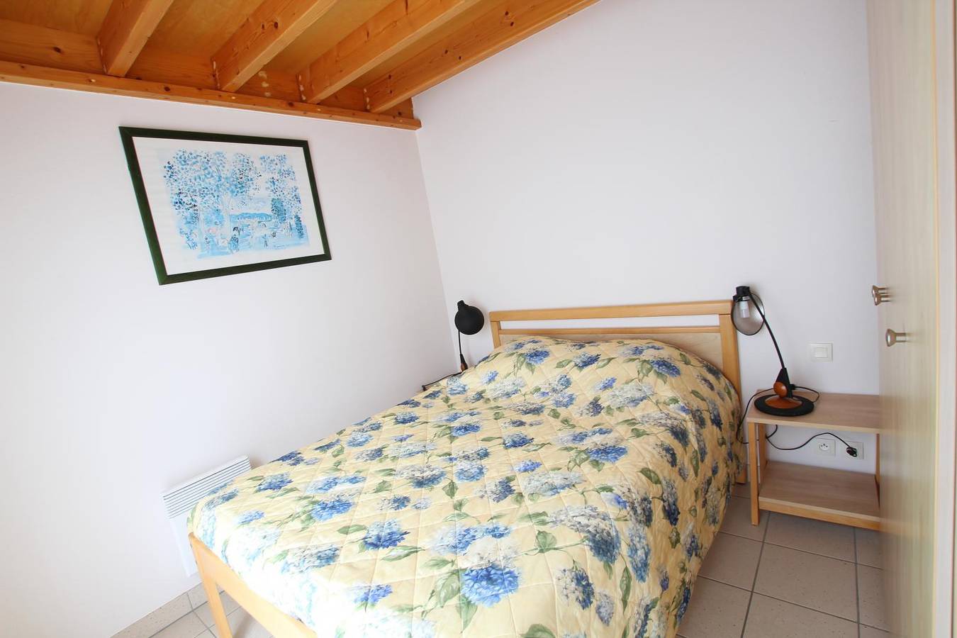 Matricaire maritime in Biville, La Hague