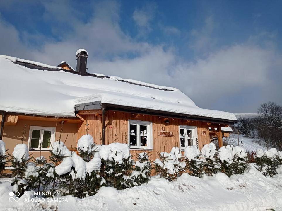 Cały apartament, Chalupa U Bobra in Rokytnice nad Jizerou, Karkonosze Czechy