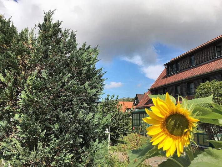 BnB, mit Terrasse und Garten auf dem Darß