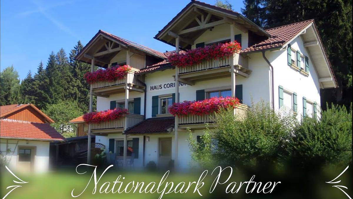 Ganze Wohnung, Ferienhaus Corinna / Ferienwohnungen - Fewo 2 in Kirchdorf im Wald, Ostbayern