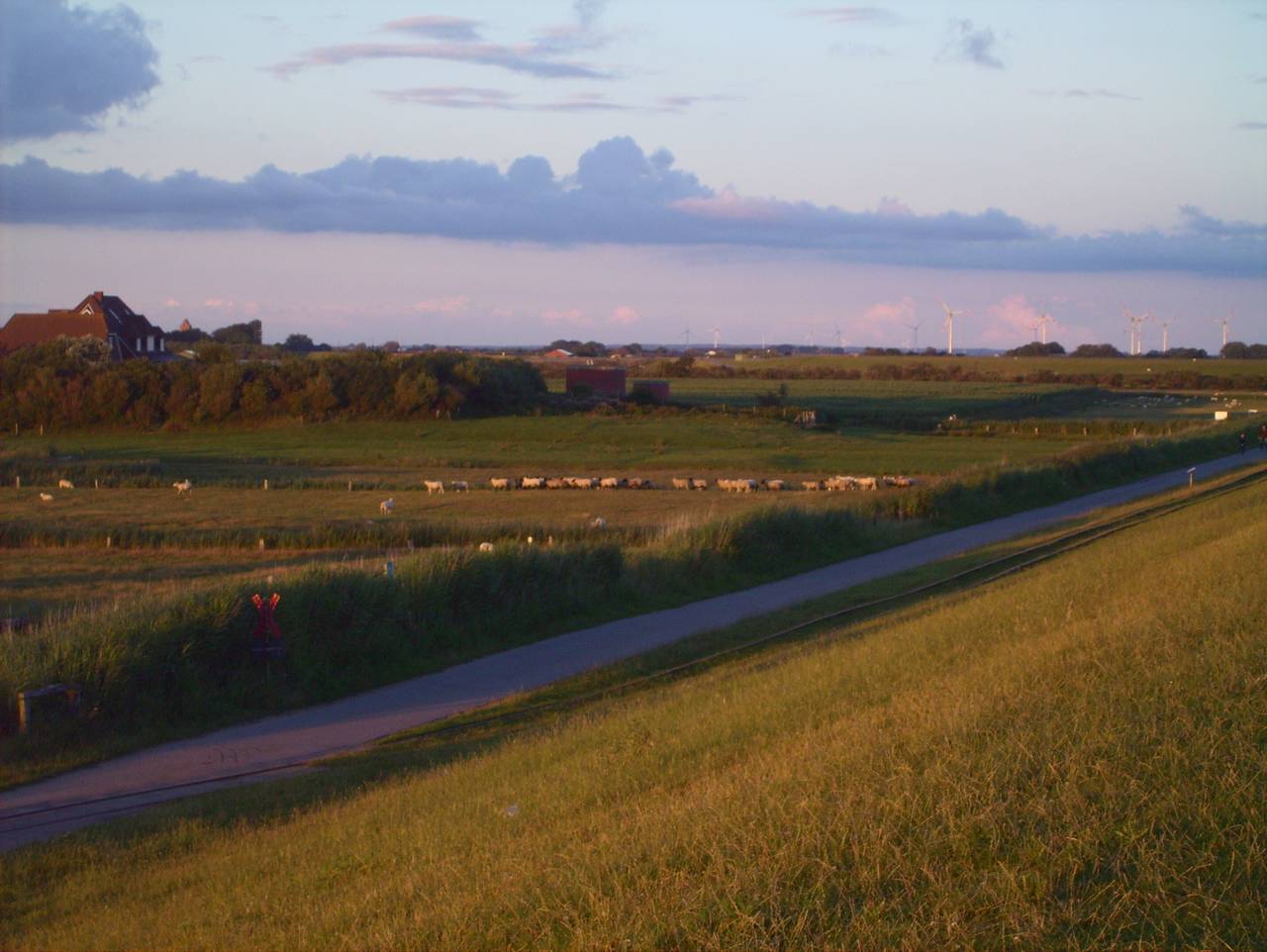 Ganze Ferienwohnung, Haus Halligblick - Fewo 2 Oland in Dagebüll, Nordfriesland