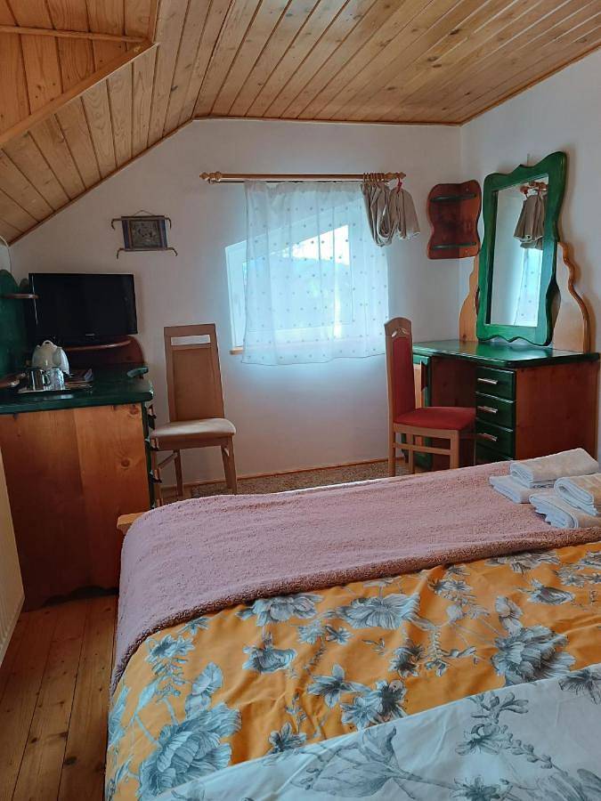 Maison d’hôte pour 2 personnes, avec vue et jardin dans Porumbacu de Sus - 3