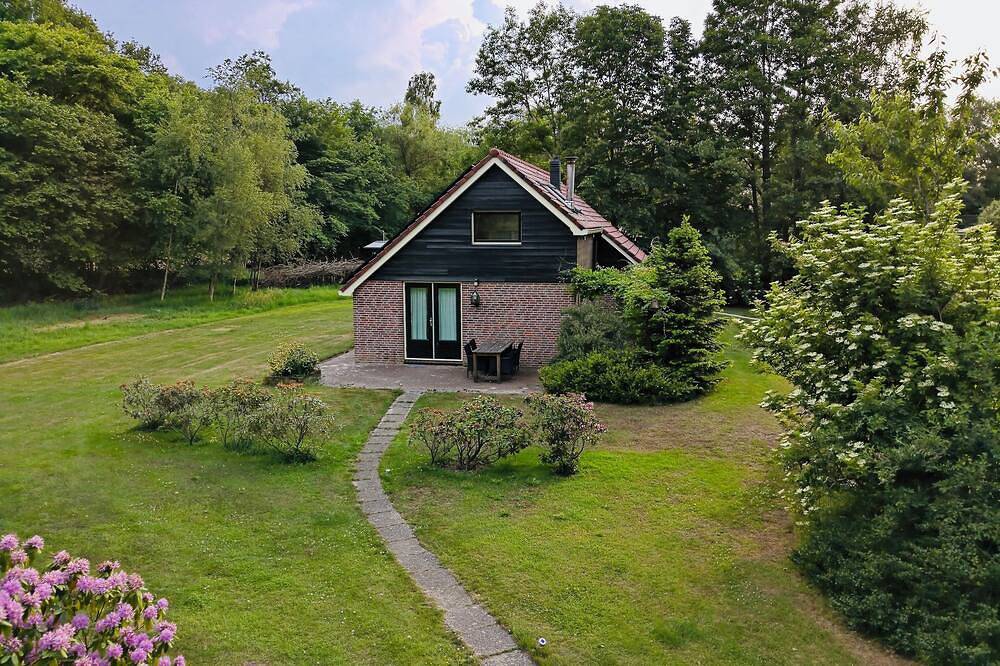 Ferienhaus am Rande des Dwingelderveldes in Nationalpark Dwingelderveld