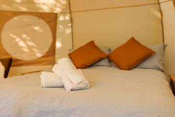Camping für 4 Personen in Ipplepen, Devon, Bild 3
