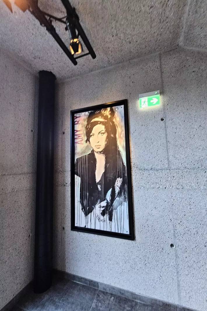 Villa mit pool für 20 Personen, mit Pool und Terrasse, mit Haustier in Österreich - 2