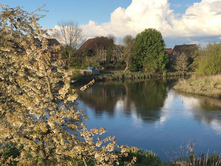 Ferienwohnung für 3 Personen, mit Terrasse in Grünendeich - 4