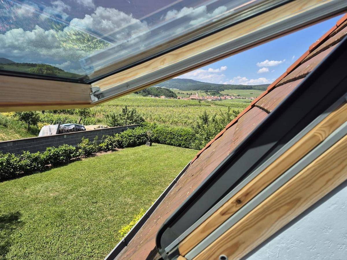 Appartement entier, L'Orée du Vignoble le Nid Alsace Wine Route in Blienschwiller, Région de Sélestat-Erstein