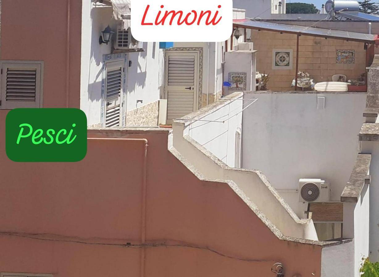 Ganze Ferienwohnung, Da Paolina, alle Sterne Nove! in Spongano, Lecce Provinz