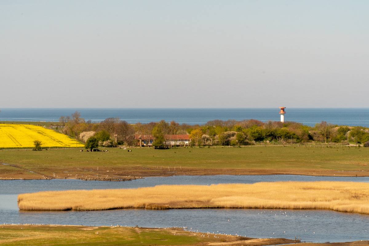 Ferienpark für 4 Personen in Heiligenhafen, Südliche Ostseeküste