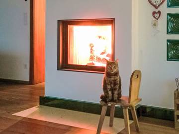 Ferienhaus für 7 Personen in Techelsberg am Wörther See, Klagenfurt-Land, Bild 4