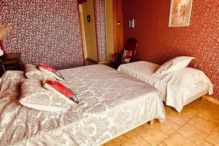 Location de vacances pour 15 personnes, avec terrasse et jardin, animaux acceptés à Courzieu - 4