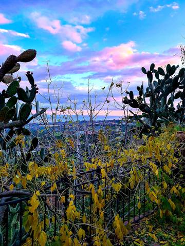 Agriturismo voor 12 Personen in Giarre, Etnapark, Afbeelding 3