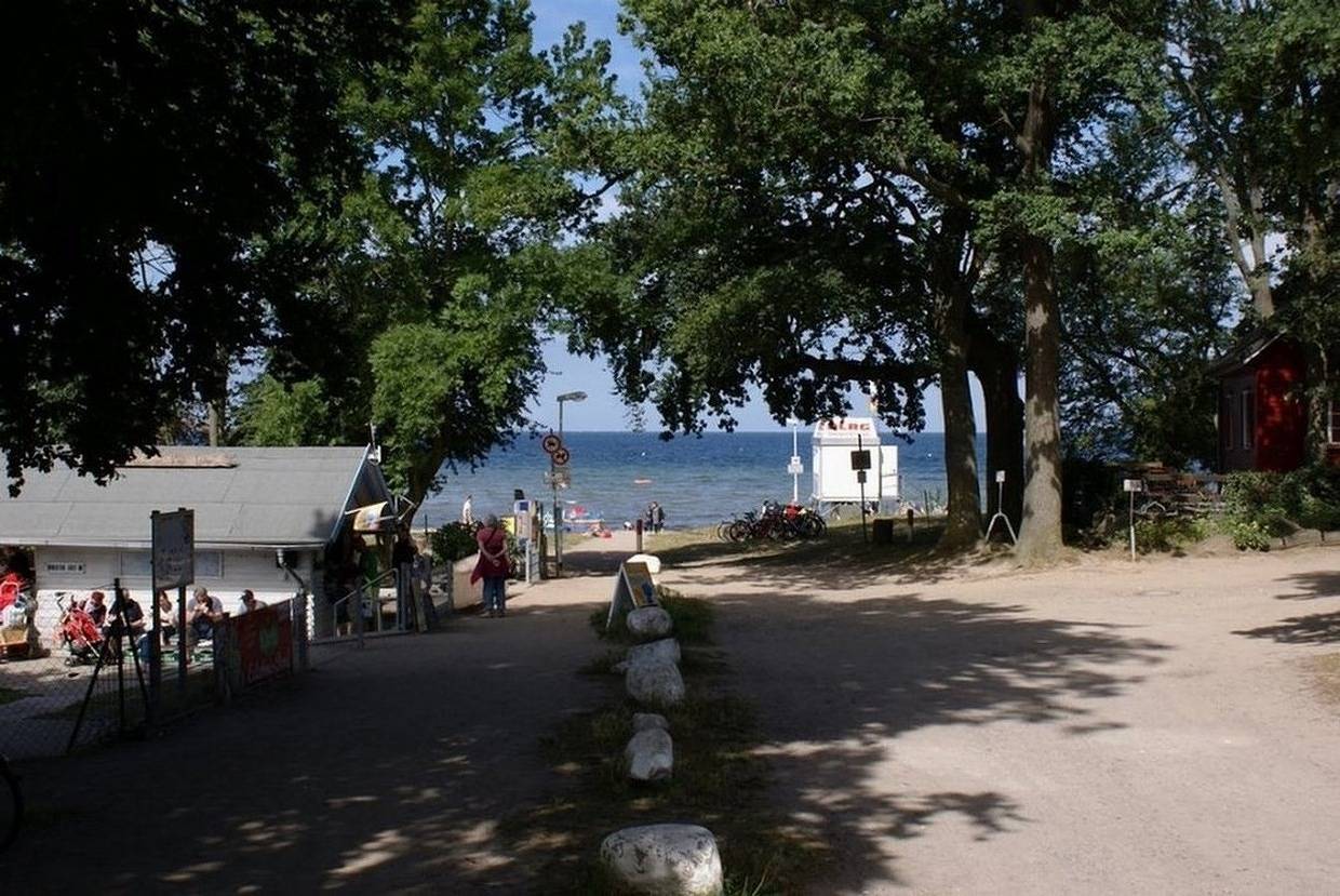 Ganze Ferienwohnung, Möwe am Strand in Zierow, Nordwestmecklenburg (Wismar und Umgebung)
