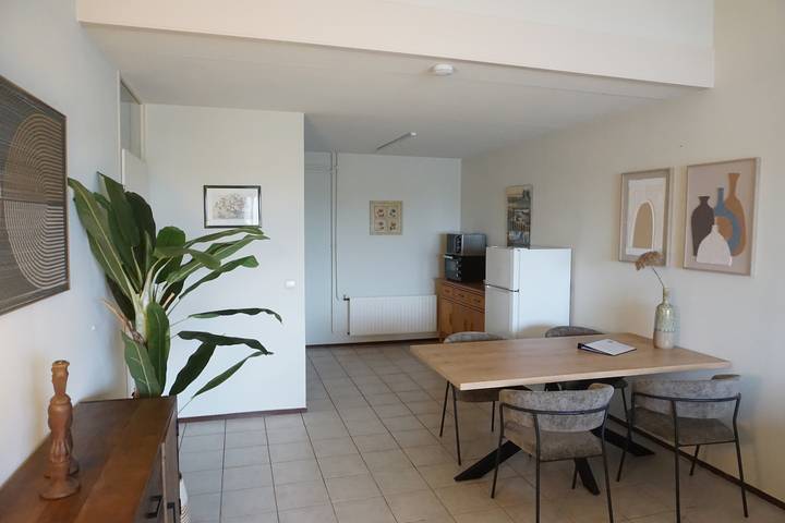 Ferienhaus für 4 Personen, mit Terrasse und Balkon/Terrasse in Nieuwvliet - 2