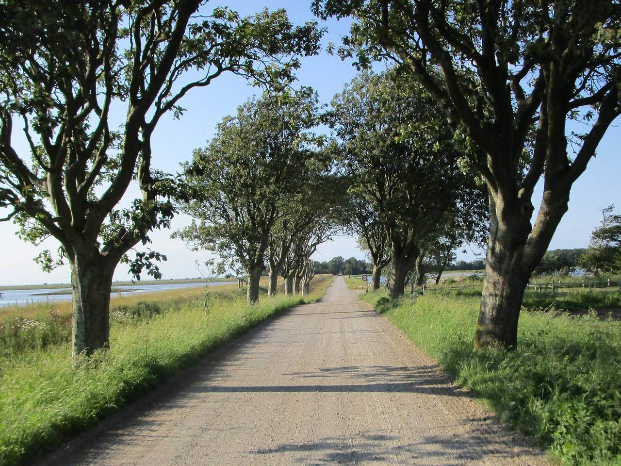 Ganze Wohnung, 4 Personen Ferienhaus in Bogense-By Traum in Bogense, Kleiner Belt