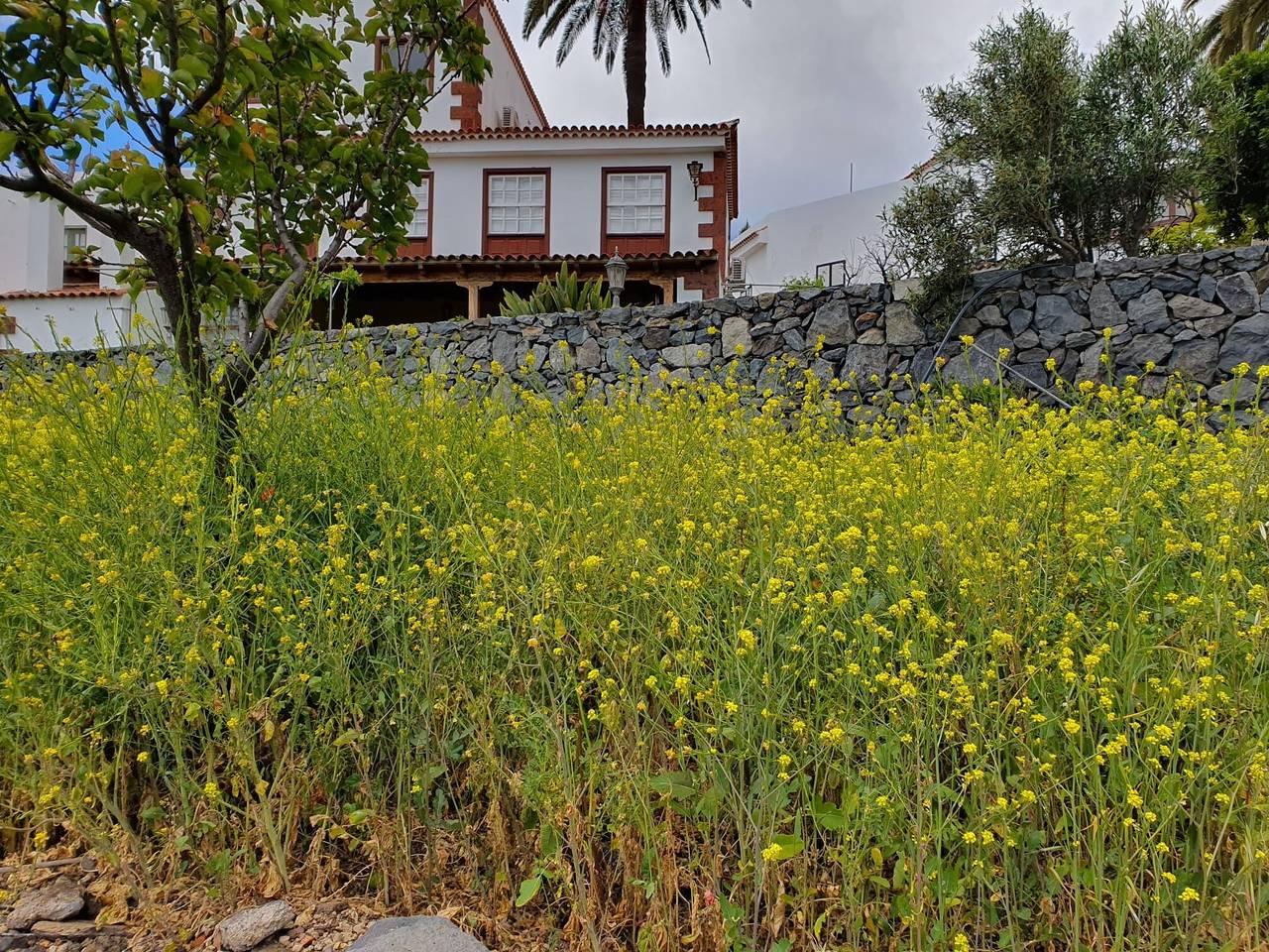 Casa Tajonaje – Vistas al Mar y a la Montaña en el Corazón Rural de Alajeró in El Guanche, Garajonay