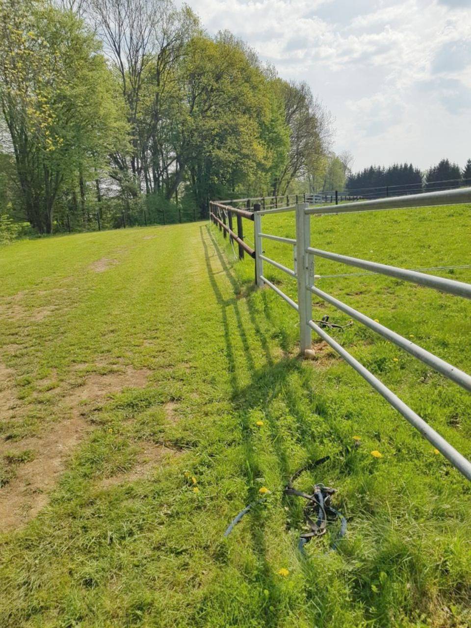 Appartement entier, Gite de Saint Bale in Vrigne-aux-Bois, Ardennes
