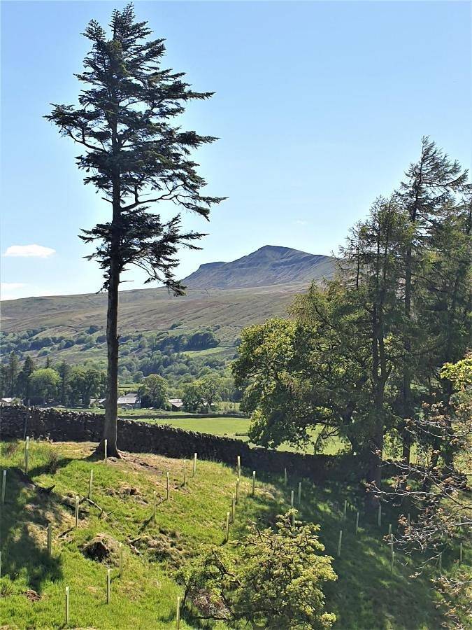 Elysian Fields @ Ing Hill Lodge in Yorkshire Dales National Park