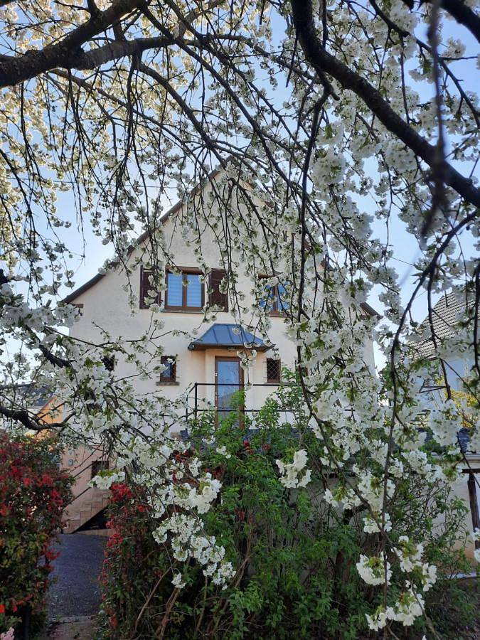Maison de vacances pour 7 personnes, avec Terrasse ainsi que Jardin et Vue