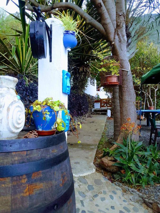 Casa rural para 4 personas, con vistas y jardín, Se admiten mascotas en La Gomera - 4