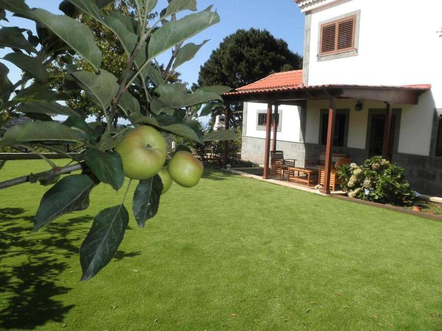 Villa Arrebol Azul in Zumacal, Valleseco