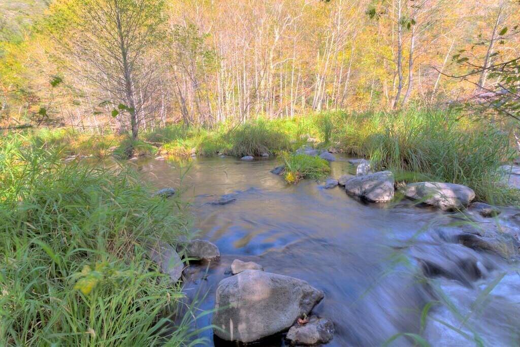 Ziel @ Oak Creek Cabin 8 in Oak Creek Canyon