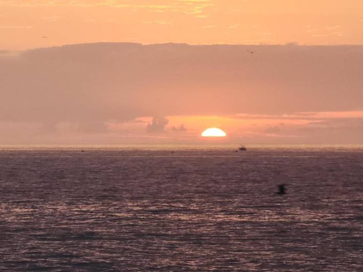 Maison d’hôte pour 4 personnes, avec terrasse, animaux acceptés à Essaouira - 2