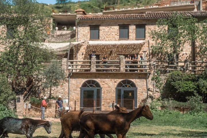 Villa pour 14 personnes, avec piscine - 1