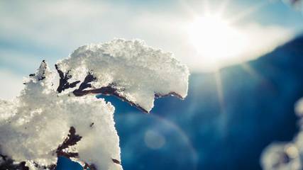 Hütte für 6 Personen in Tannheim (Tirol), Allgäuer Alpen (Österreich), Bild 2
