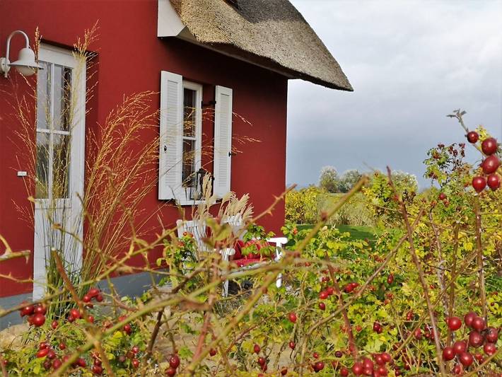 Ferienhaus für 5 Personen, mit Terrasse und Garten in Zierow - 4