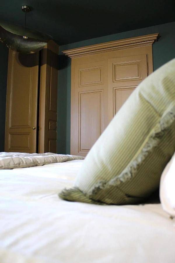 Appartement entier, La Cachette Sauvage au cœur de Villefranche in Villefranche-sur-Saône, Beaujolais