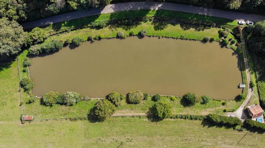 Ferienhaus für 6 Personen, mit Seeblick und Garten sowie Ausblick, mit Haustier im Elsass - 3