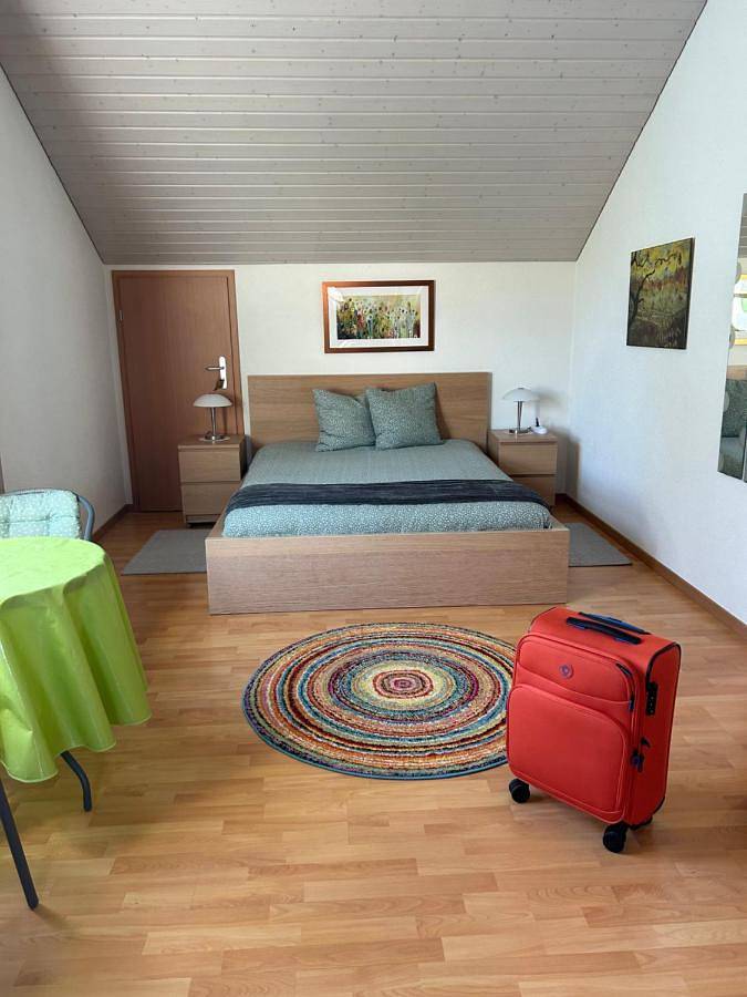 Queen Guest Room in Mont-sur-Rolle, Lago Léman